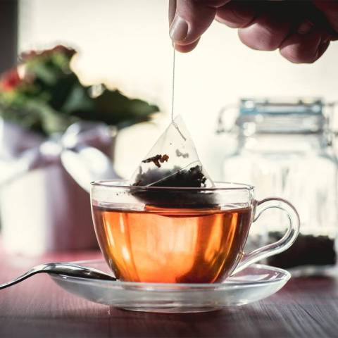 Développement durable - 1ère partie