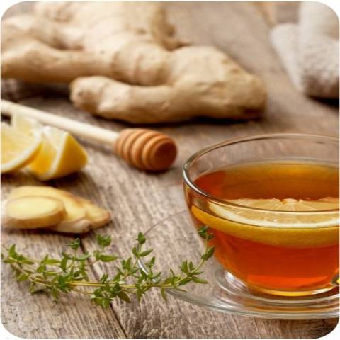 Ingwer & Zitrone, deine Helden in der kalten Jahreszeit 