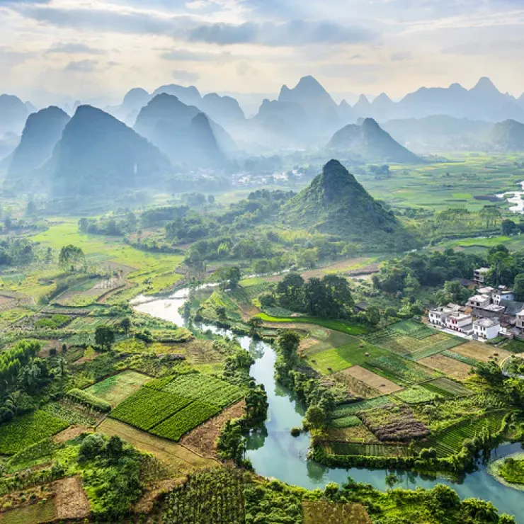 Die Ursprünge des Tees in China