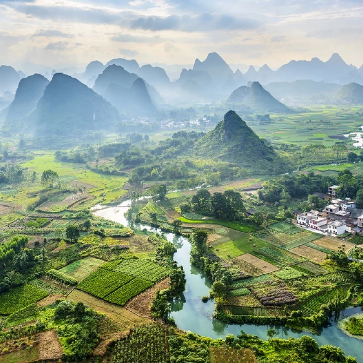 Les origines du thé en Chine